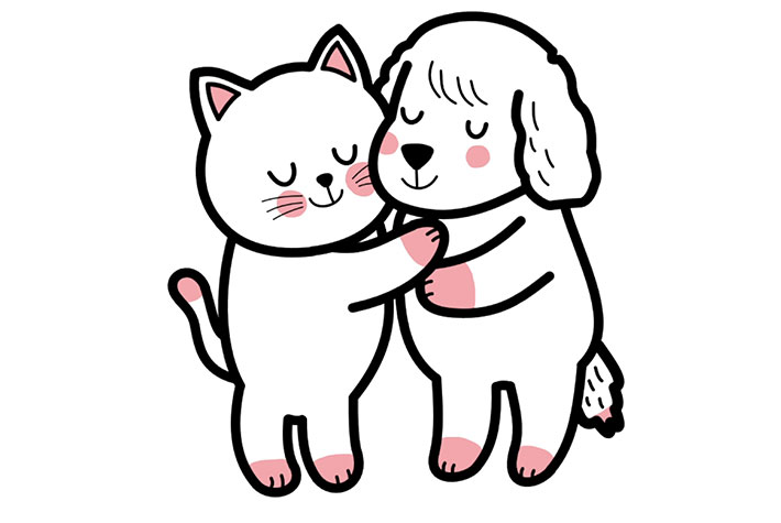 cat and dog hugging together